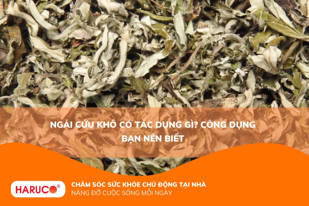 Ngải cứu khô có tác dụng gì? Công dụng bạn nên biết
