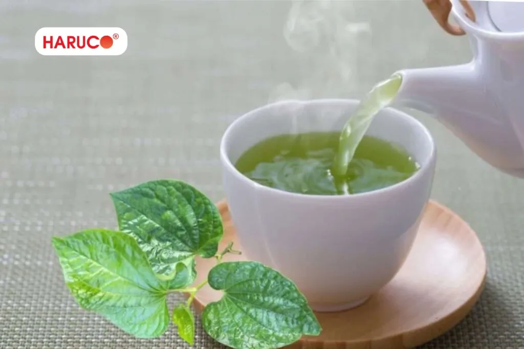 Cách chữa hôi miệng bằng lá lốt được nhiều người áp dụng