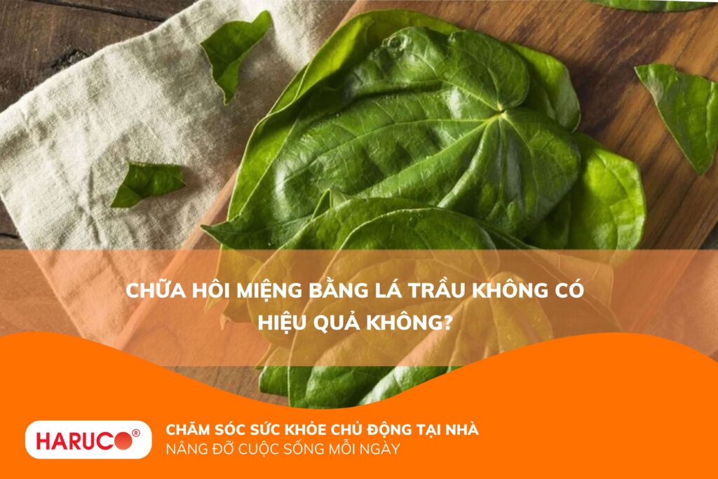 Chữa hôi miệng bằng lá trầu không có hiệu quả không?