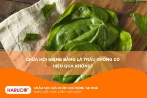 Chữa hôi miệng bằng lá trầu không có hiệu quả không?