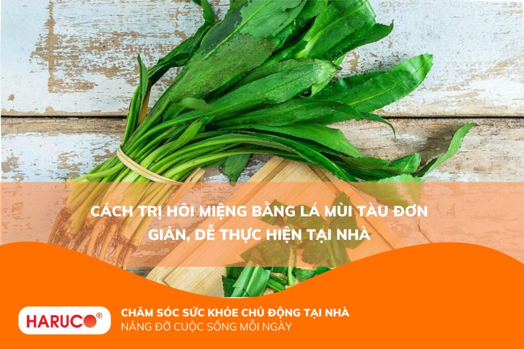 Cách trị hôi miệng bằng lá mùi tàu đơn giản, dễ thực hiện tại nhà