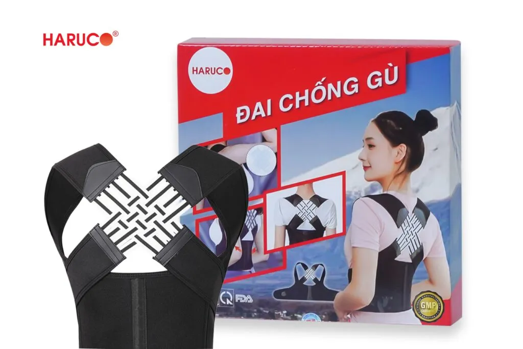 Hỗ trợ tư thế ngồi với đai chống gù và ghế công thái học Haruco 
