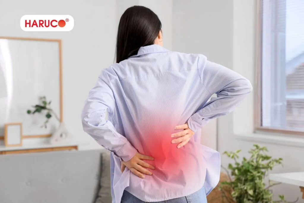 Vì sao người bị thoát vị L4 L5 thường quan tâm đến đai lưng?