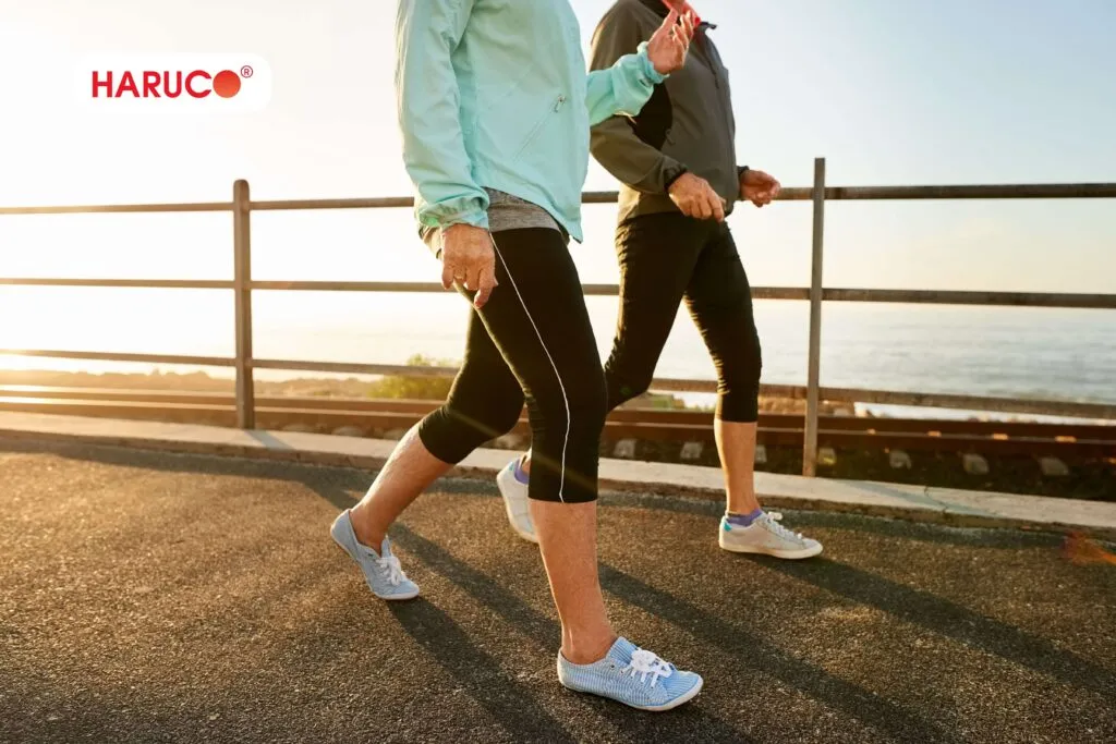 Các bài tập thay thế squat cho người bị thoát vị đĩa đệm