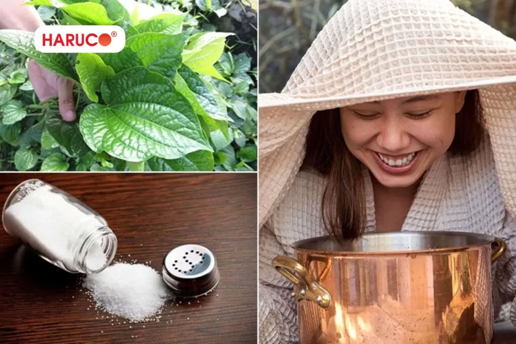 Cách xông hơi mặt bằng lá lốt hiệu quả tại nhà