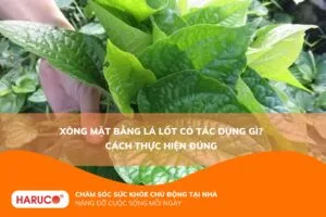 Xông mặt bằng lá lốt có tác dụng gì? Cách thực hiện đúng
